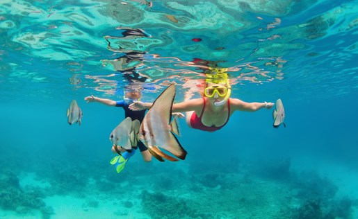 Kids snorkeling around fish