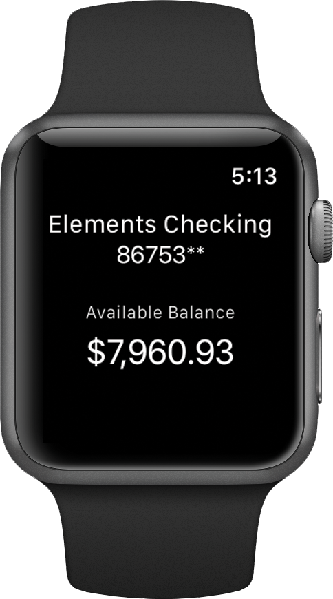 Apple Watch interface